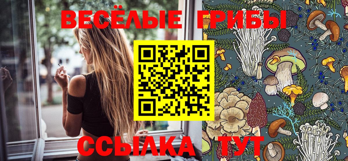 Псилоцибиновые грибы Psilocybine cubensis Бугуруслан