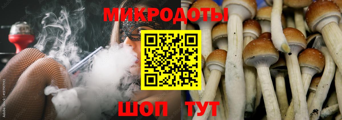 как найти закладки  Вход с VPN  Бугуруслан  Галлюциногенные грибы Magic Shrooms  Галлюциногенные грибы Psilocybine cubensis 